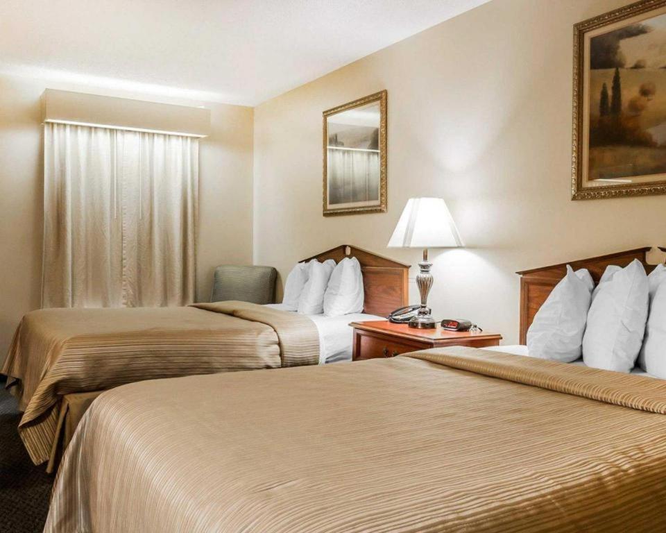 Quality Inn Arab Hwy 231 Eksteriør bilde